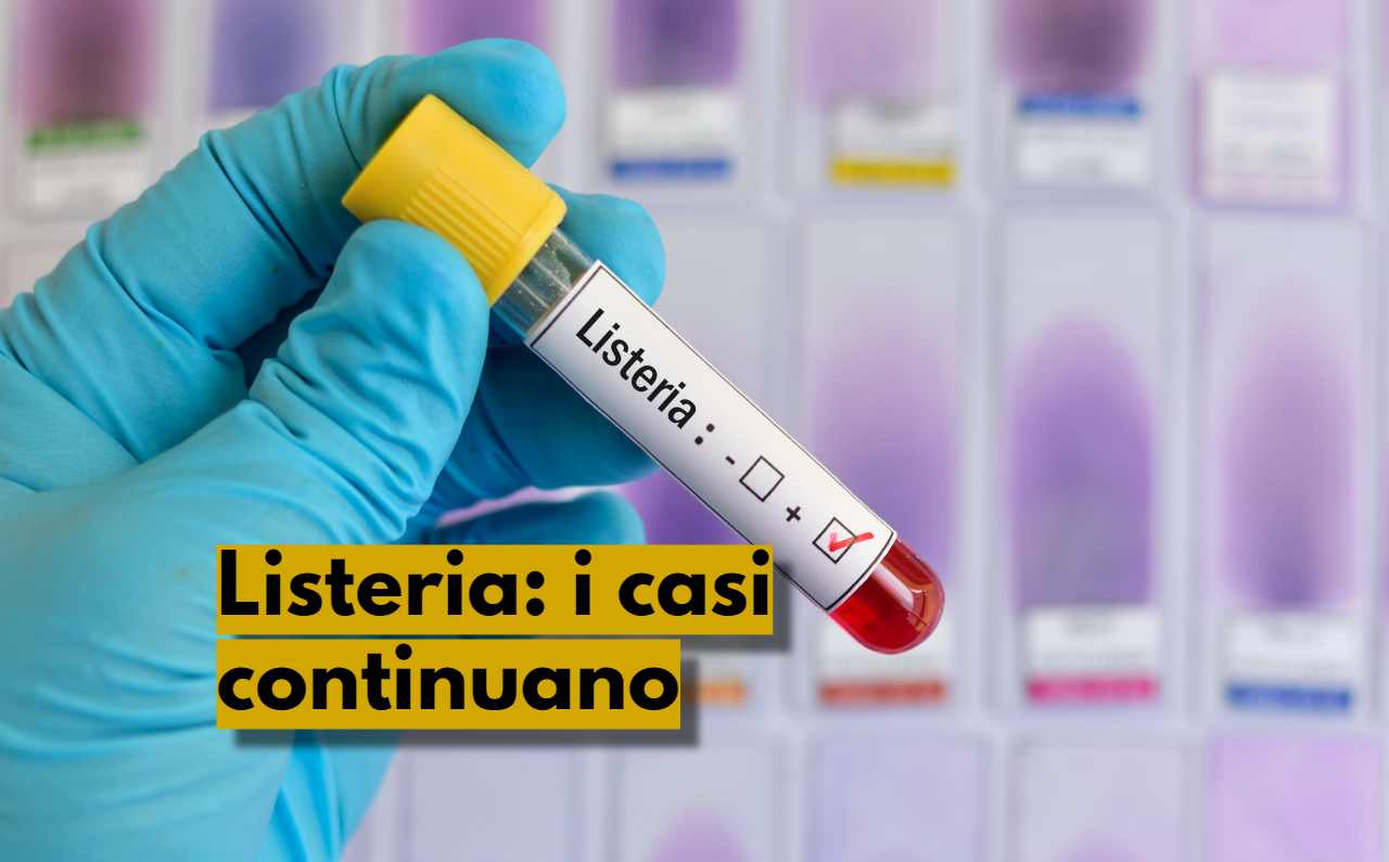 Listeria, i casi continuano, come si prende la Listerosi