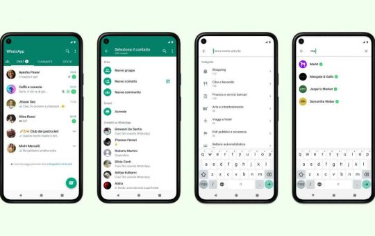 whatsapp e la ricerca per chat
